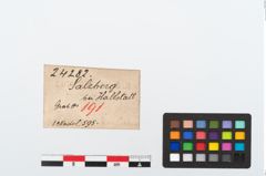 Etiketten zu Bronzerollenkopfnadel (NHMW-PRAE-024282)